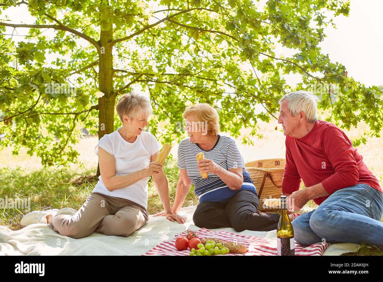 Il gruppo di anziani ha divertimento picnic nel parco con baguette e vino e frutta Foto Stock