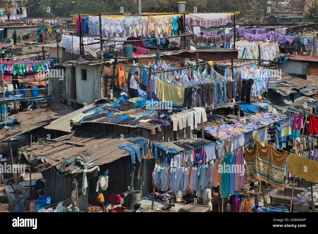 Si sta facendo una grande quantità di bucato, con gran parte di esso appeso ad asciugare su scaffali, nel centro di Mumbai, India Foto Stock