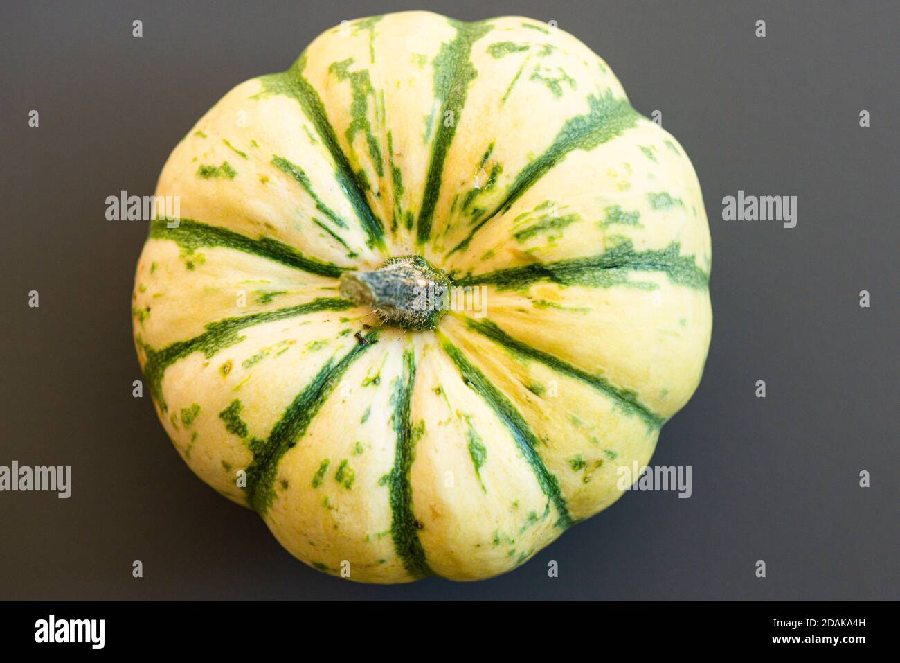 Una zucca invernale di colore giallo pallido e verde Foto Stock