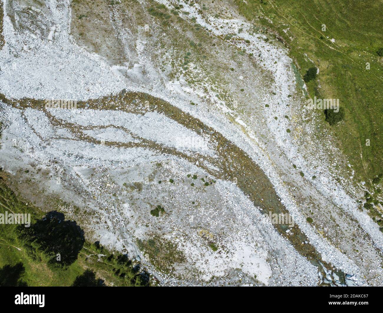 Letto di fiume sassoso in alta stagione estiva circondato da verde prateria alpina Foto Stock