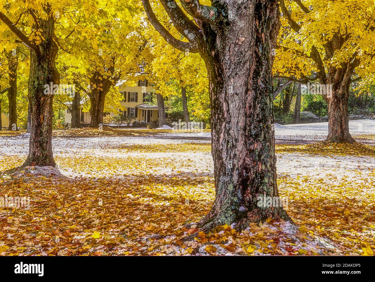 L'autunno parte sul comune di Petersham Foto Stock