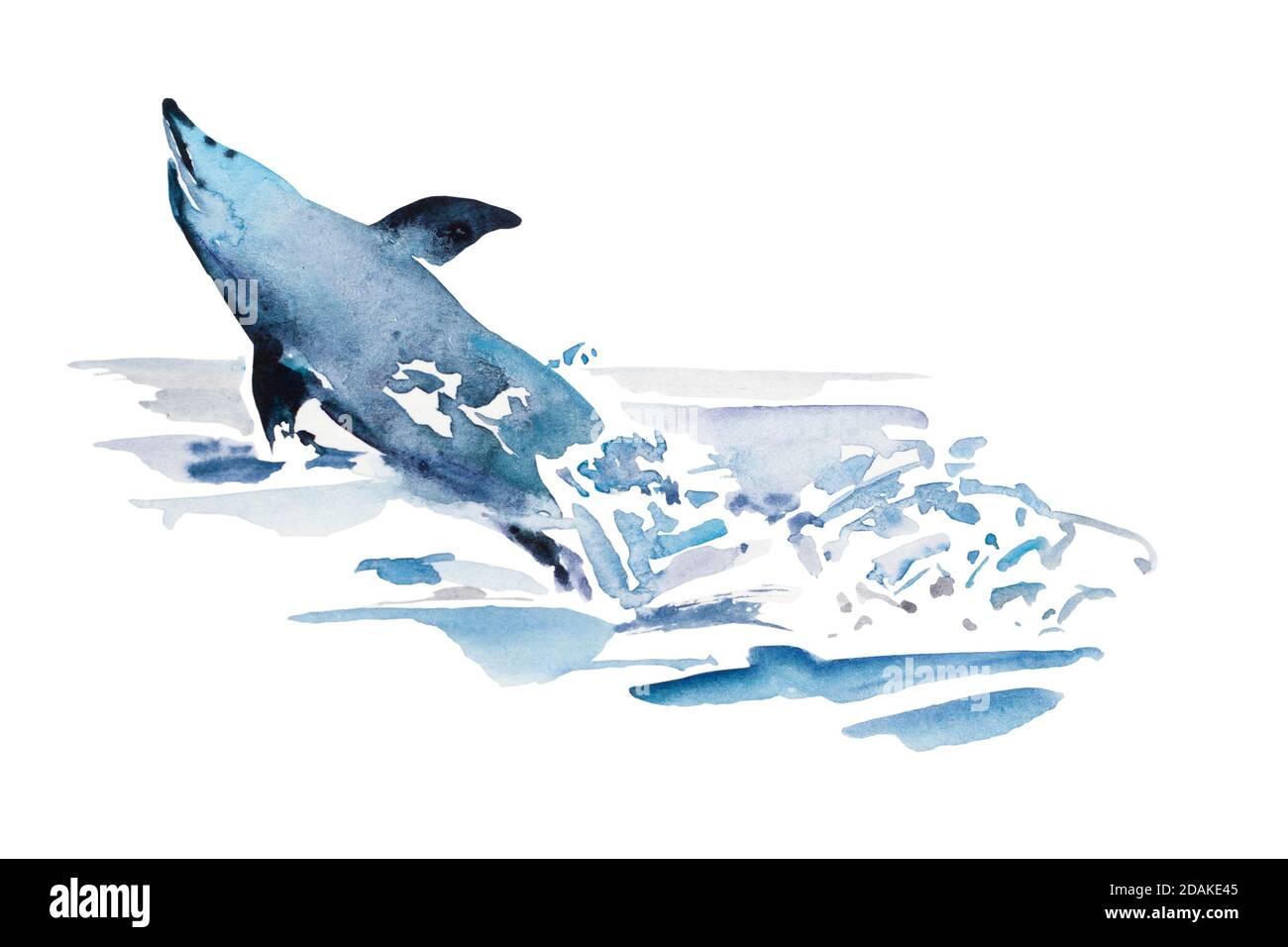 Divertente salto di delfino blu acquerello dall'acqua nella spruzzata di schiuma. Illustrazione originale di animale marino, isolato su sfondo bianco Foto Stock