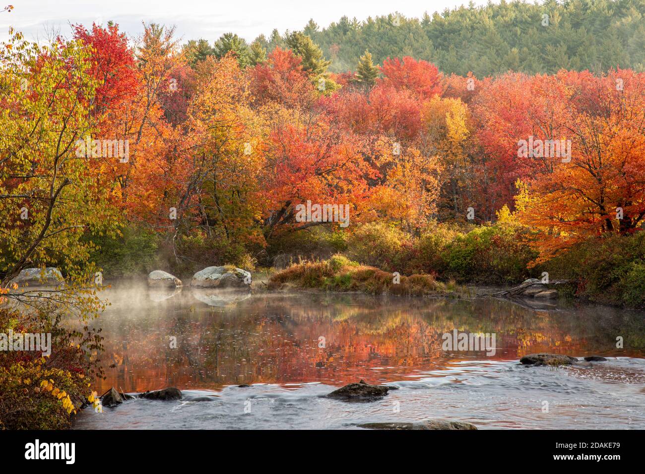 Il fiume Millers a Royalston, Massachusetts, che attraversa la riserva di Birch Hill Foto Stock