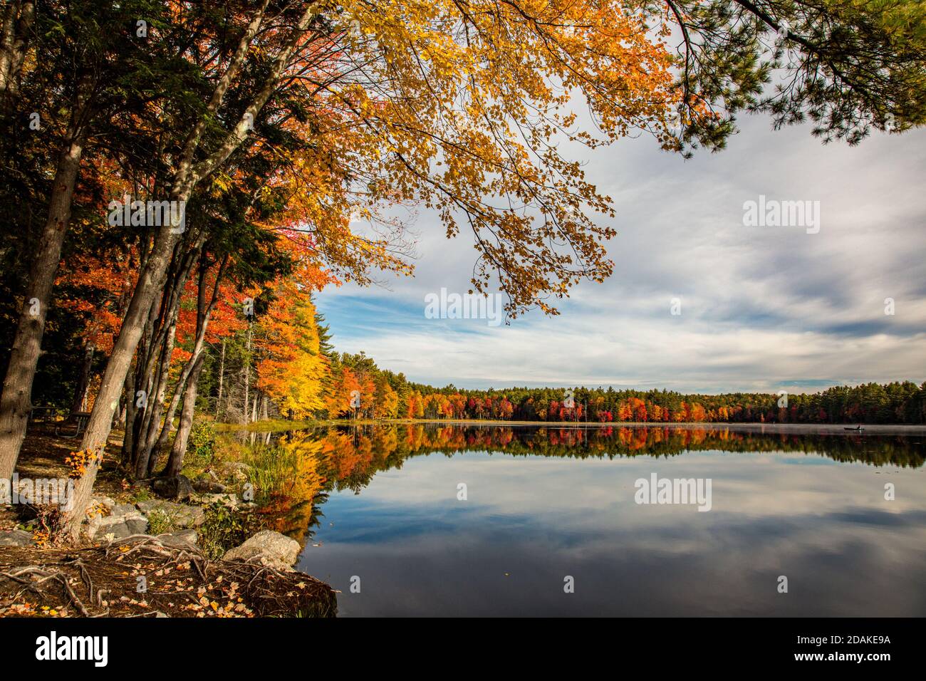 Il Beaver Pond si trova nella riserva di Birch Hill a Royalston, Massachusetts Foto Stock
