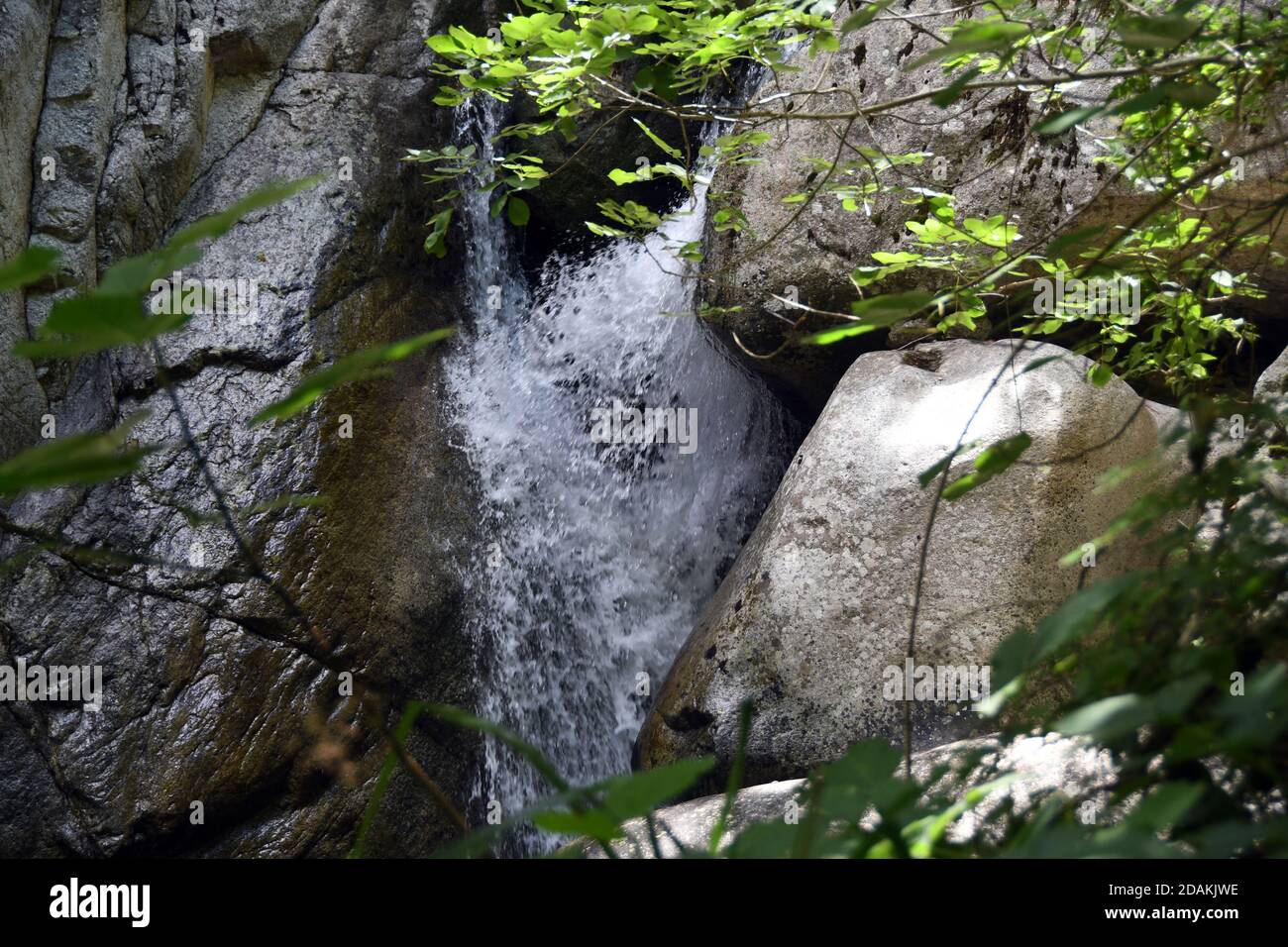Bivongi RC - Fiumara Stilaro , vallone Folea Credit : Giuseppe Andidero Foto Stock