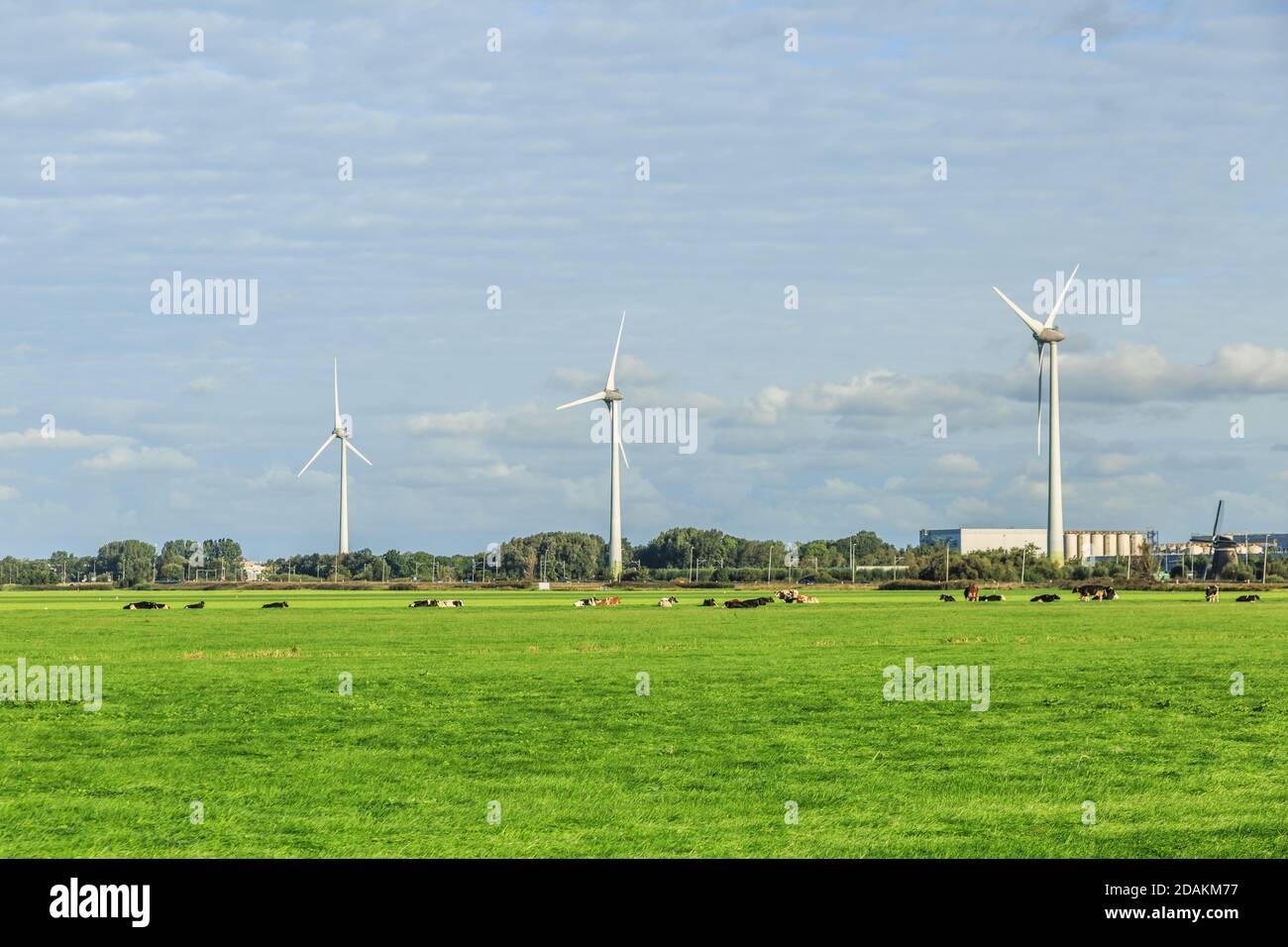 Paesaggio olandese polder con moderne turbine a vento per la produzione sostenibile Di energia elettrica per la produzione di Heineken Beer a clima neutro Foto Stock