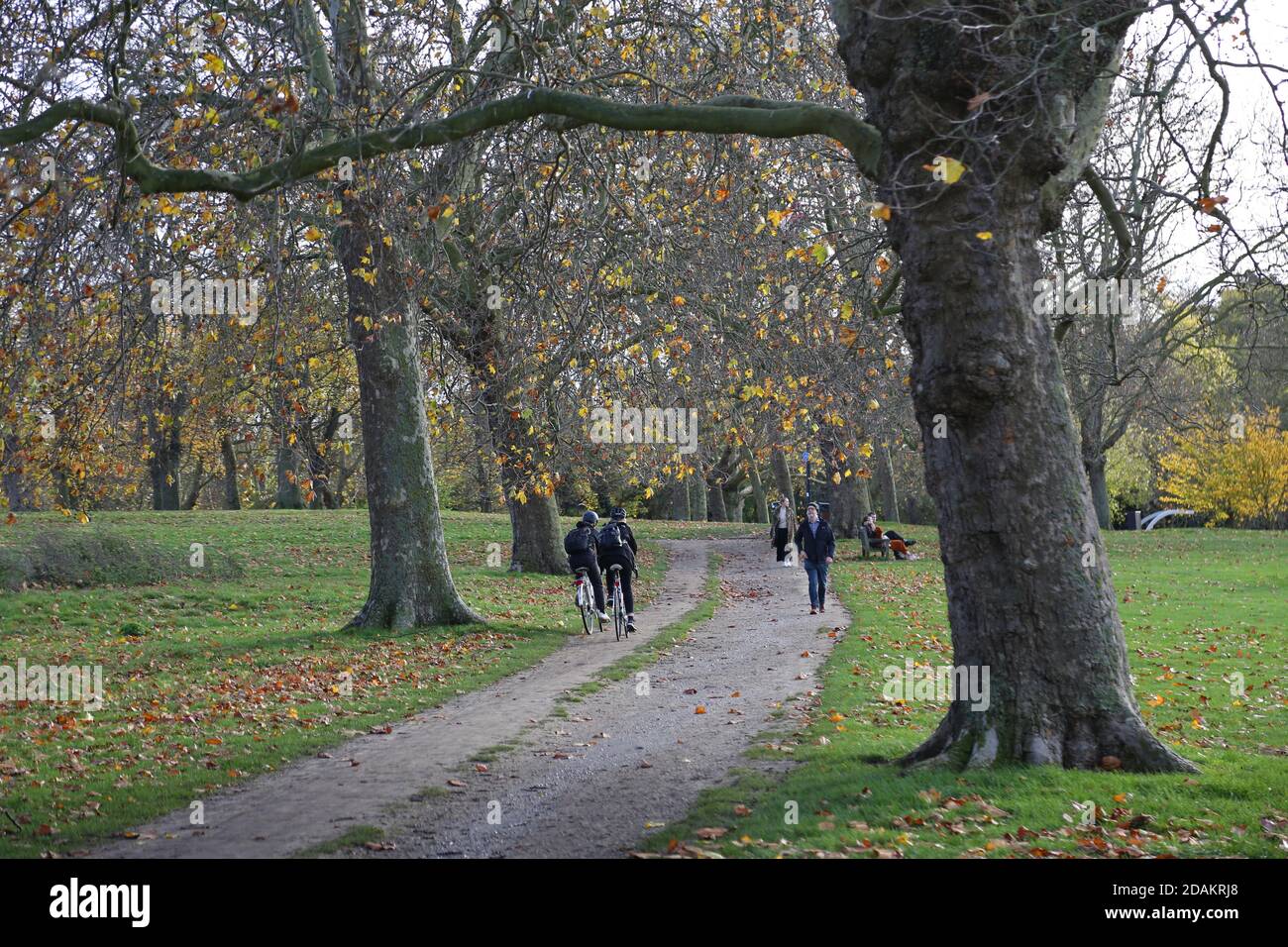 Escursionisti, ciclisti e escursionisti utilizzano un sentiero che attraversa il Peckham Rye Common, a sud-est di Londra, Regno Unito. Soleggiato, giorno d'autunno. Foto Stock
