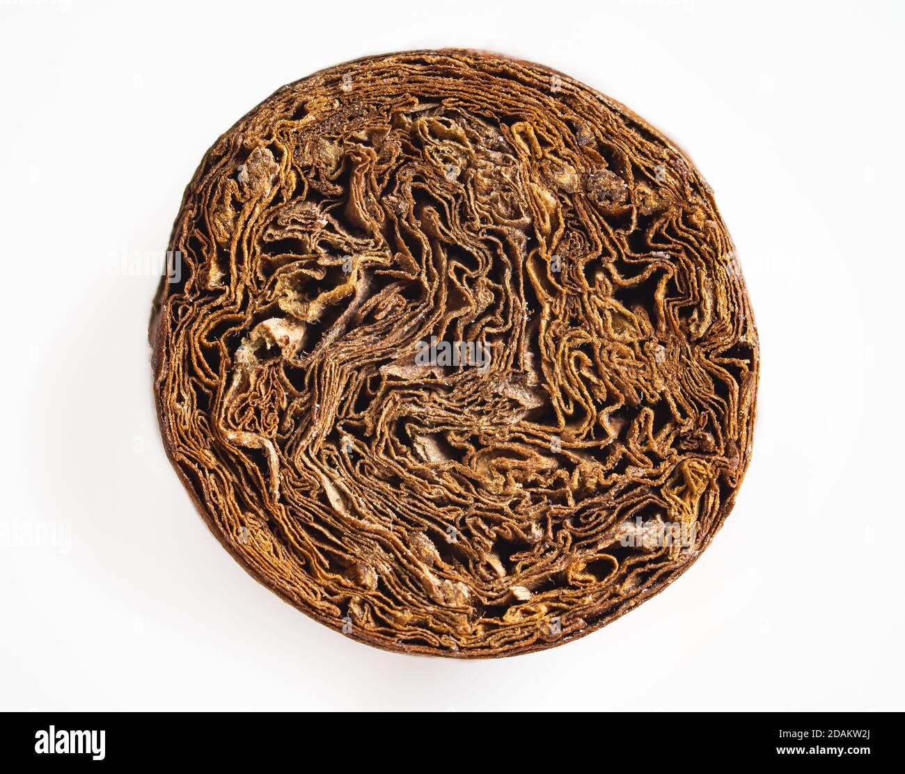 Foto dettagliata di un fronte sigaro. Sigaro cubano di lusso. Foto Stock
