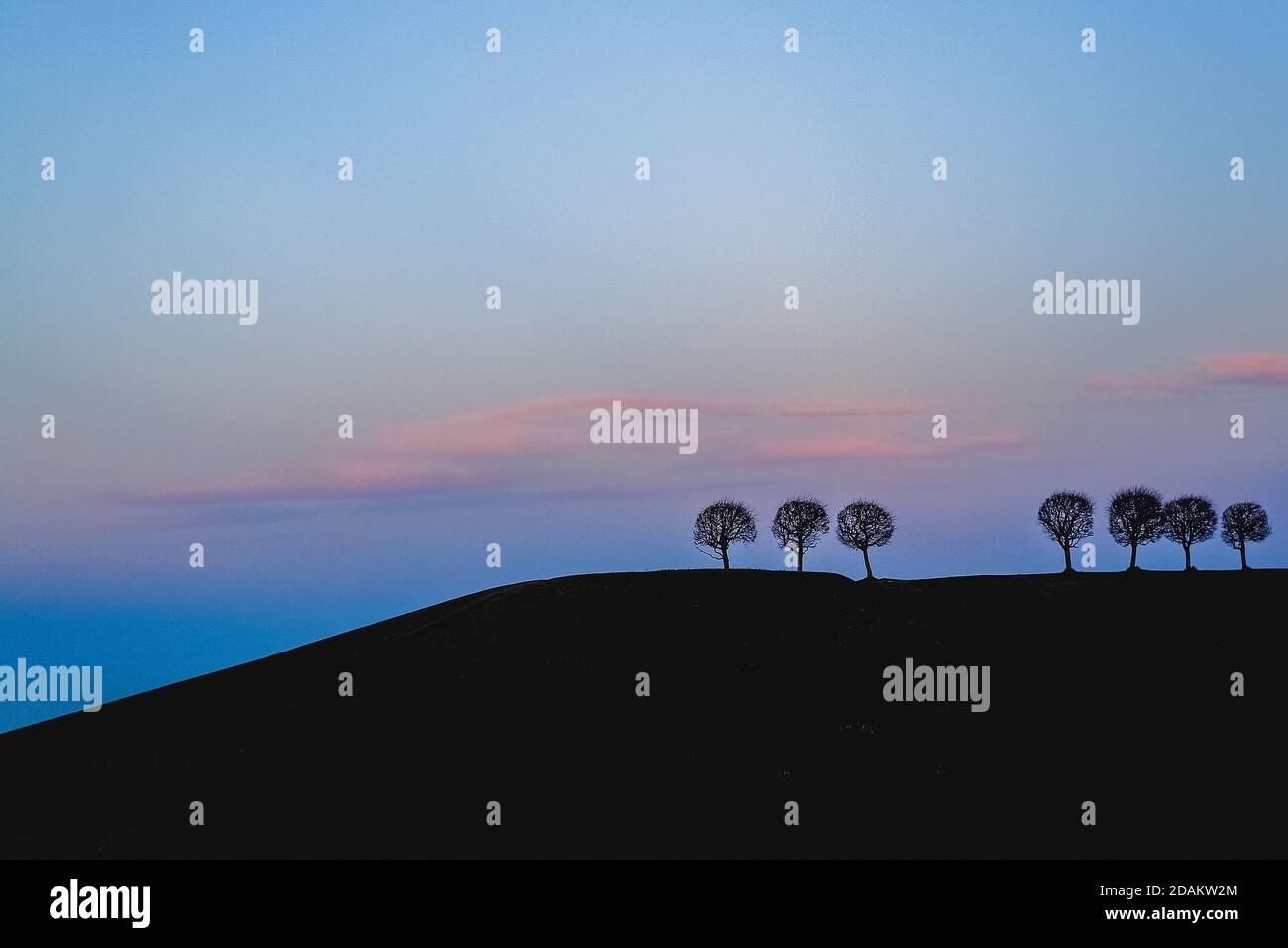 Sagome di alberi su una collina in lontananza contro il cielo colorato sera. Foto Stock