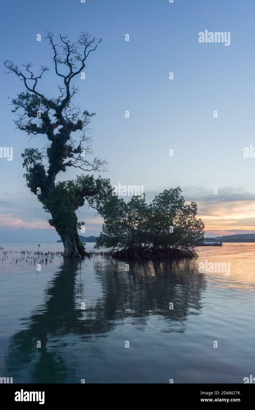 Isola di Bawean Foto Stock