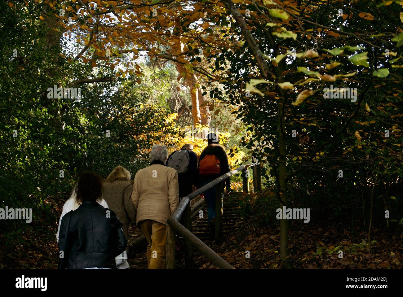 Family Sunday Walk a Hampstead Heath, Londra durante la pandemia del Covid19. Famiglia godendo un po 'di esercizio quotidiano e di qualità tempo insieme in natura. Foto Stock