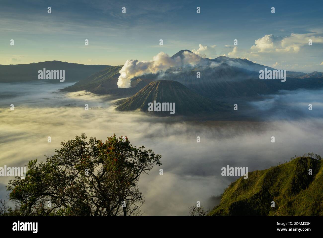 bromo montagna in malang indonesia Foto Stock