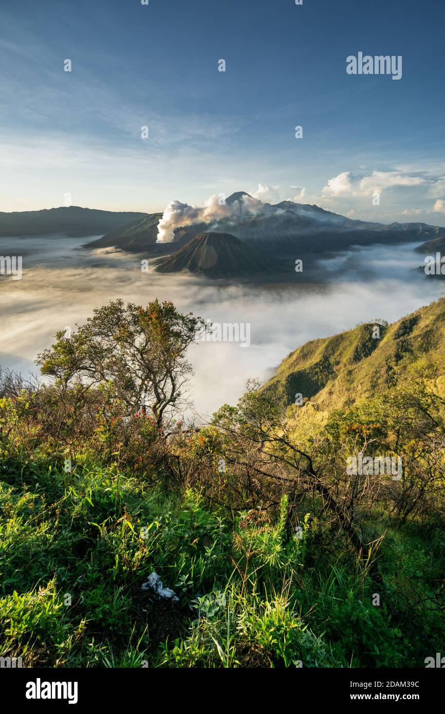 bromo montagna in malang indonesia Foto Stock