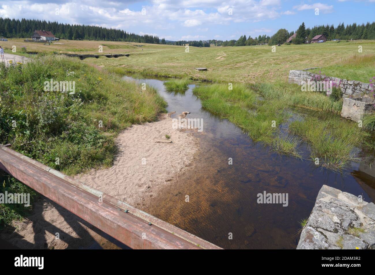 Vista di un ruscello, prato e foresta in montagna, Jizera, Repubblica Ceca Foto Stock