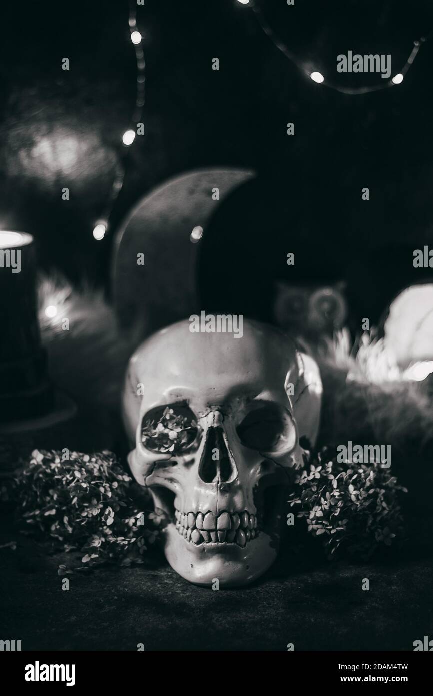 Scena di stregoneria occulta mistica rituale halloween - cranio umano, candele, fiori secchi, luna e gufo. Foto Stock
