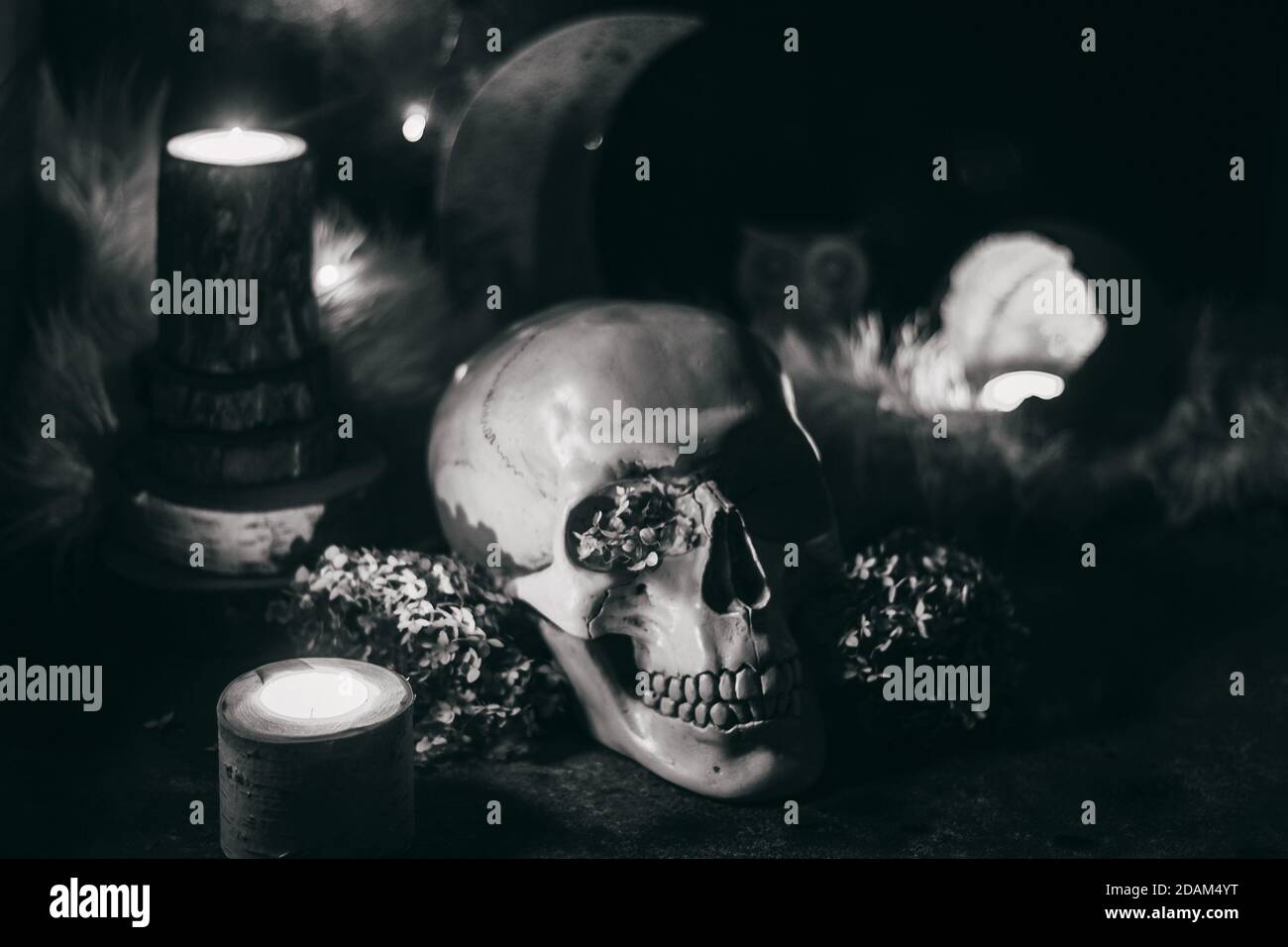 Scena di stregoneria occulta mistica rituale halloween - cranio umano, candele, fiori secchi, luna e gufo. Foto in bianco e nero. Foto Stock