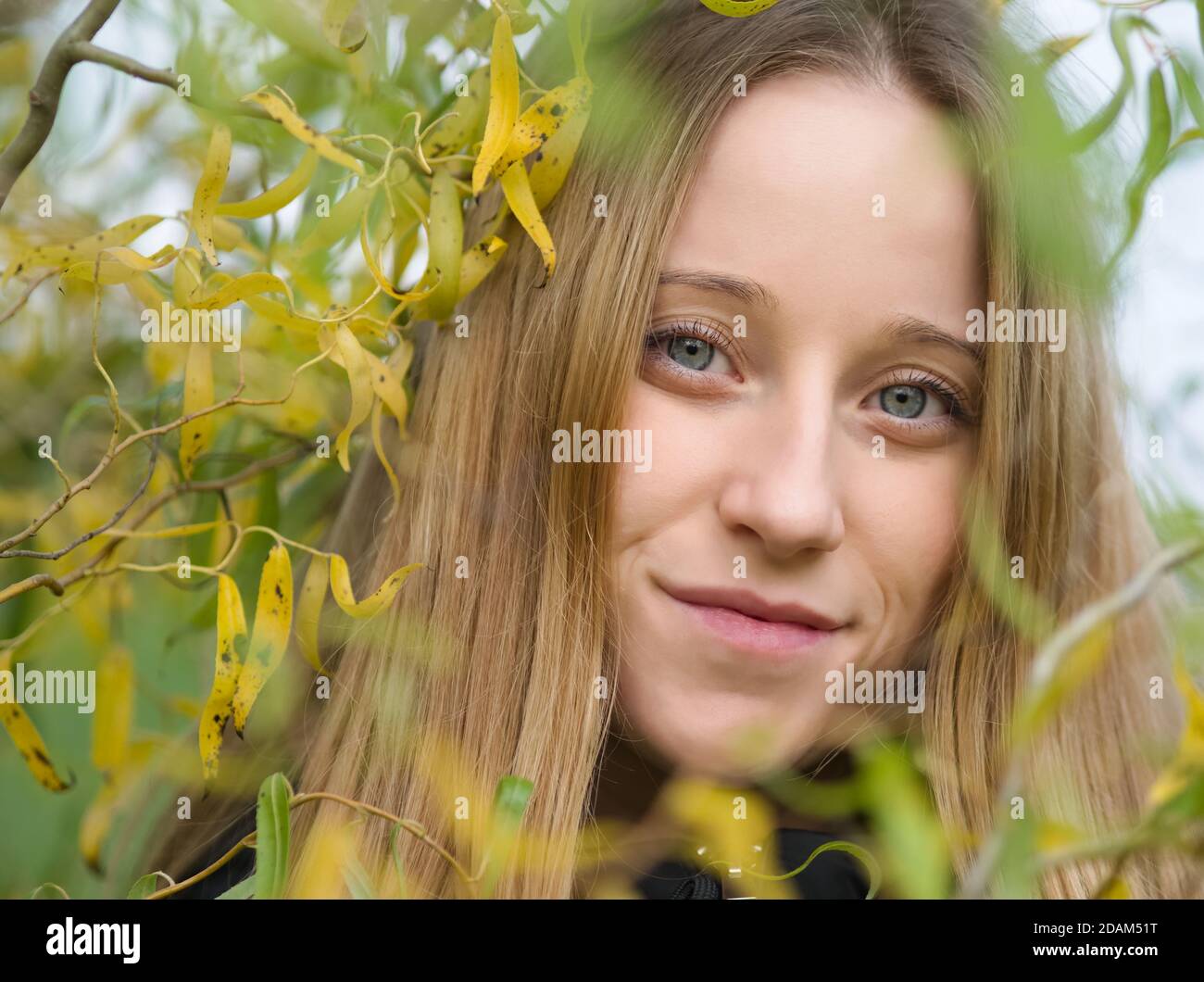 Ritratto di una giovane bella donna bionda con foglie di Willow Foto Stock