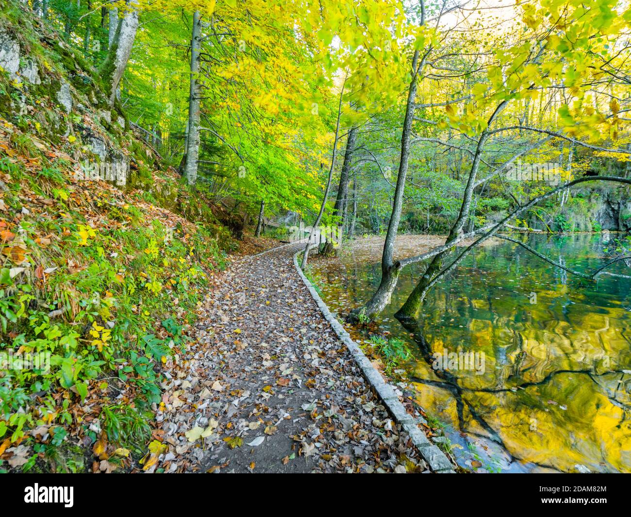 Splendidi laghi Plitvice parco nazionale in Croazia Europa tranquilla tranquillità tranquillo zen morbido splendidi colori idilliaci e vibranti Foto Stock