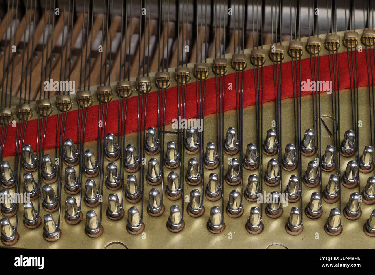 Archi di pianoforte, dettaglio, strumento musicale, primo piano Foto Stock