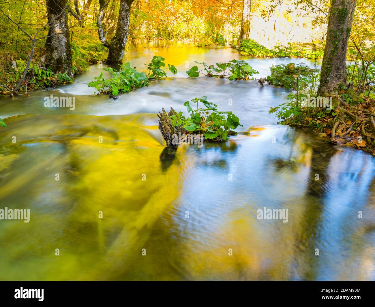 Plitvice laghi parco nazionale in Croazia Europa Foto Stock