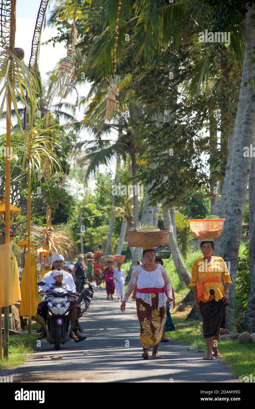 I membri di una comunità balinese eseguono una mapeedÊÐ processione Ð al tempio, portando in testa offerte per il tempio Galungan Sakenan, Bali, Indonesia Foto Stock