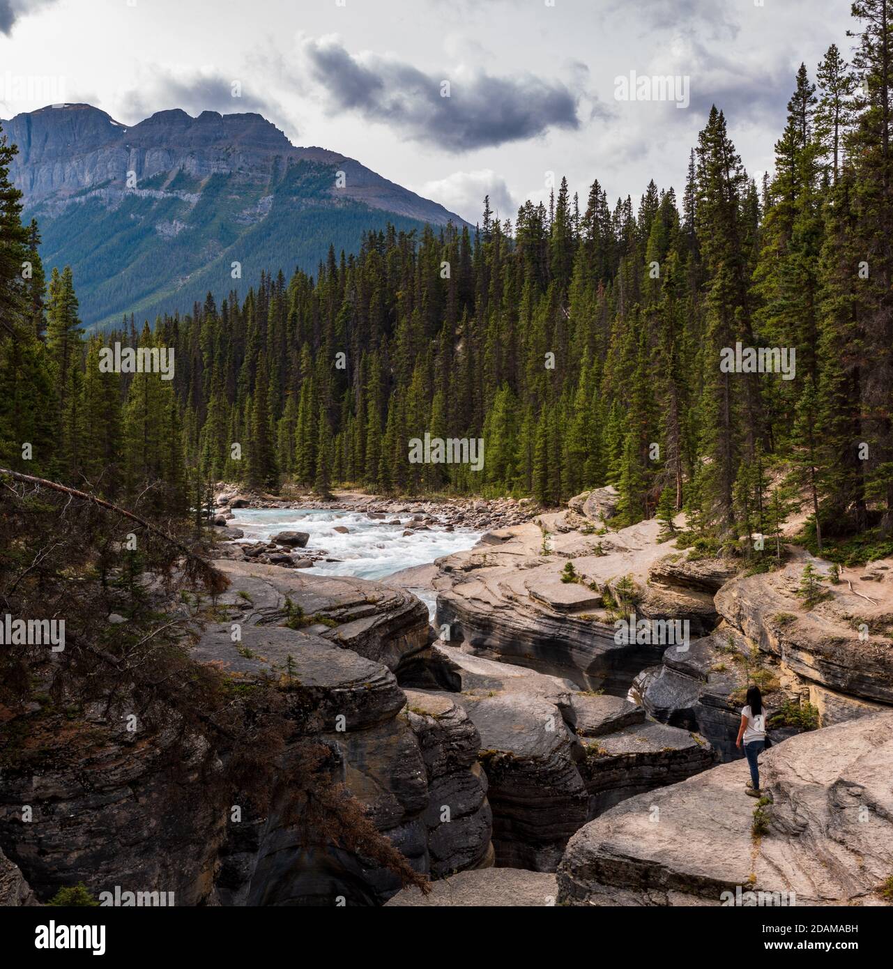 Donna in piedi e che ammira il Mistaya Canyon nel Jasper National Park, British Columbia, Canada. Foto Stock