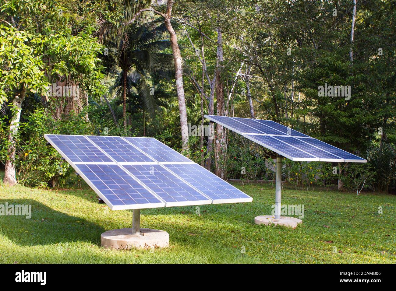 Pannelli solari con giungla dietro. Foto Stock