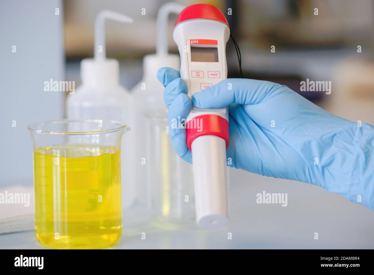 PHmetro digitale. Foto Stock