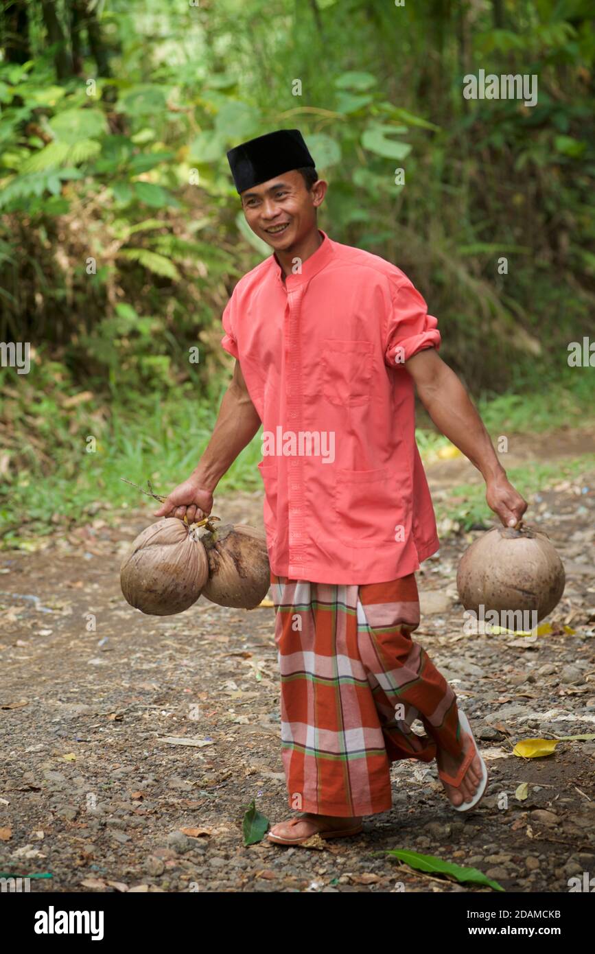 Uomo indonesiano che indossa un caratteristico cappello di tipo songkok e sarong che portano noci di cocco. Il songkok o peci o kopiah è un cappuccio ampiamente indossato in se Asia tra gli uomini musulmani. Pringgasela, Lombok, Indonesia. Sasak. Foto Stock