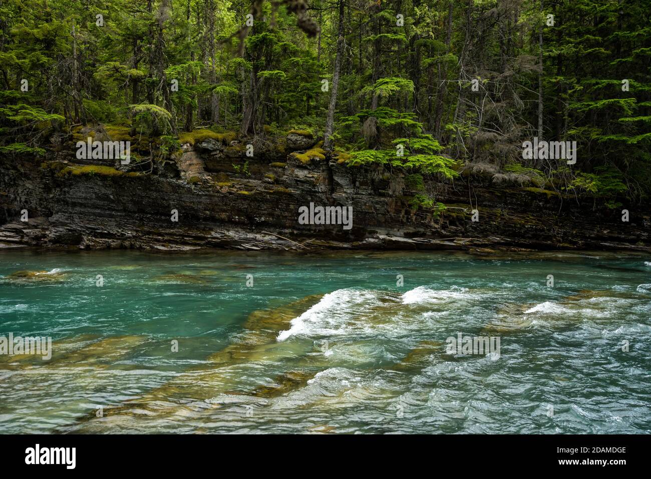 Rapide di McDonald Creek Flow nel Glacier National Park in Montana Foto Stock