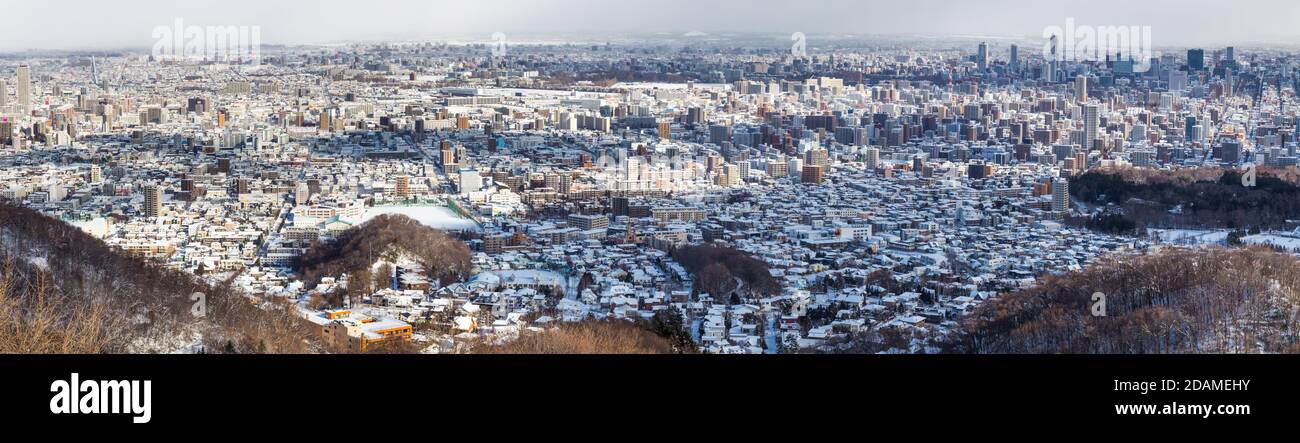 Vista panoramica aerea della città di Sapporo durante l'inverno con la neve Foto Stock