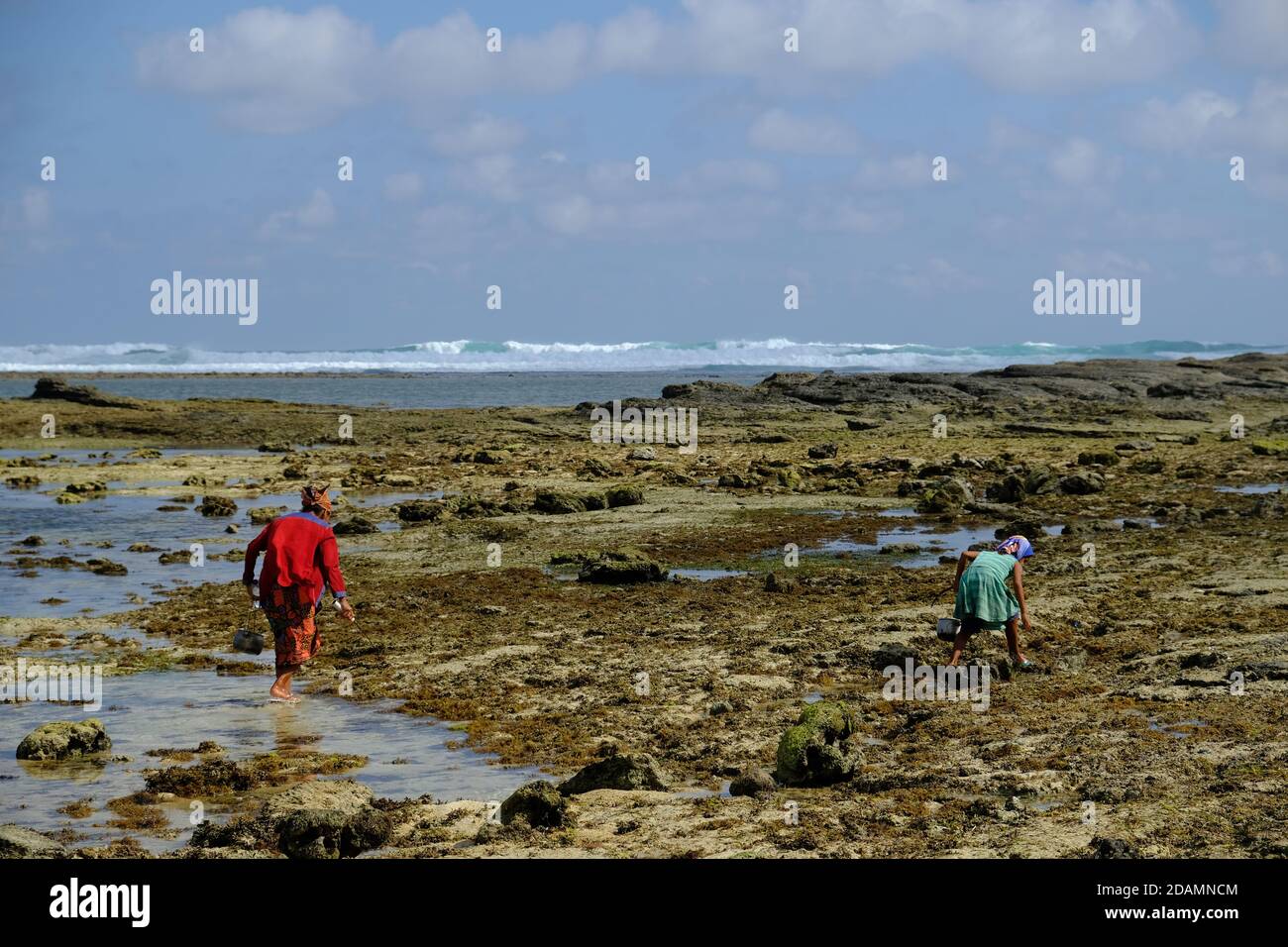 Indonesia Lombok - Shell Seekers in un ambiente pittoresco a. Batu Payung e Pantai Pedauf Foto Stock