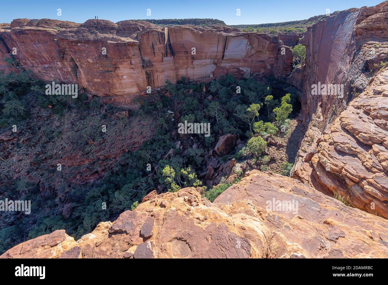 Il remoto paesaggio asciutto in Kings Canyon, territorio del Nord, Australia Foto Stock