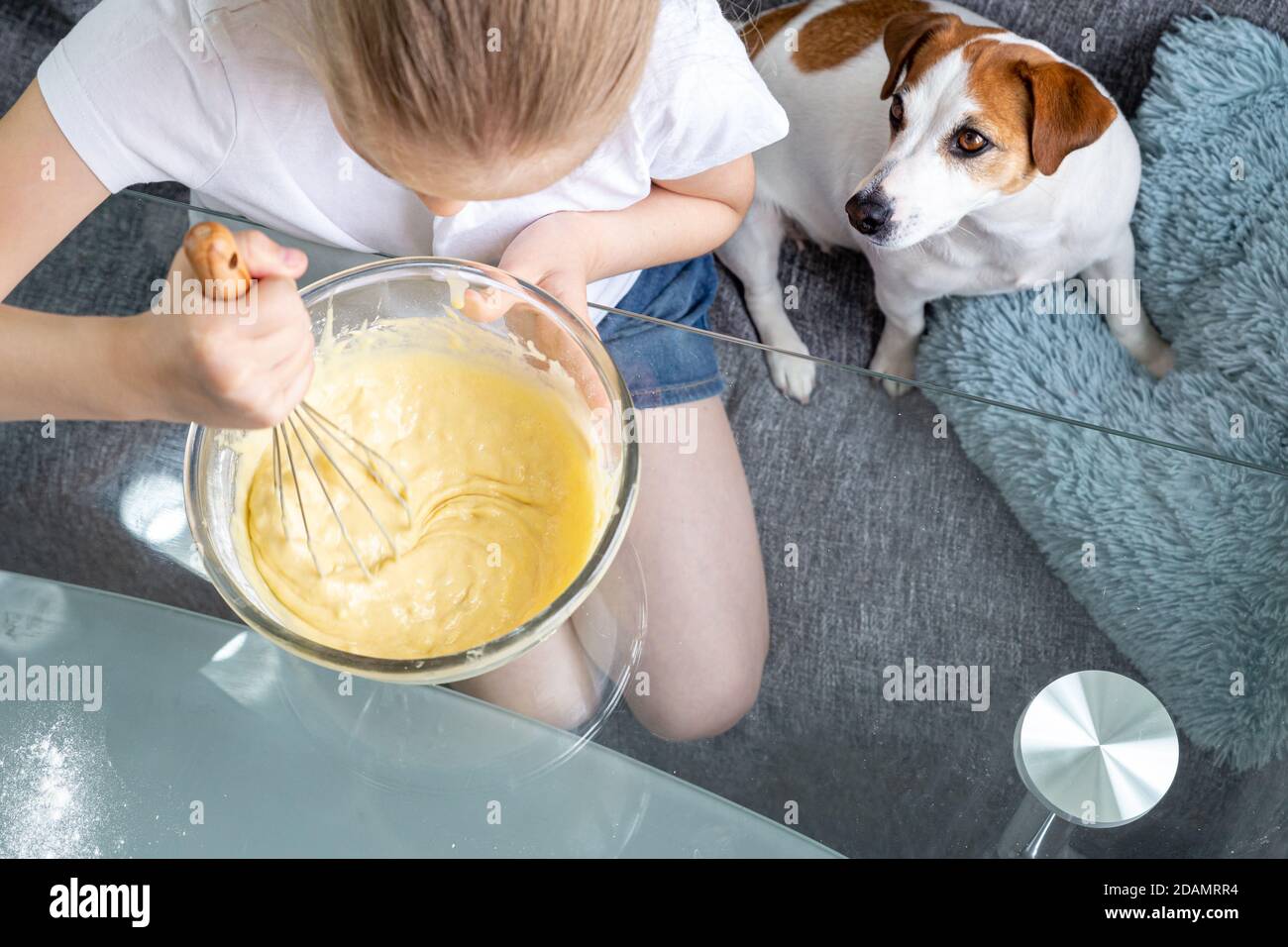 Una ragazza in una T-shirt bianca mescola l'impasto con una frusta in una ciotola di vetro, e un cane affamato, Jack Russell, si trova nelle vicinanze. Cucinare a casa. Pasta per waffle. Foto Stock