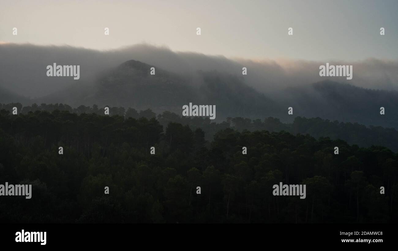 Nebbia che rotola su una collina e boschi con la prima luce nel cielo Foto Stock