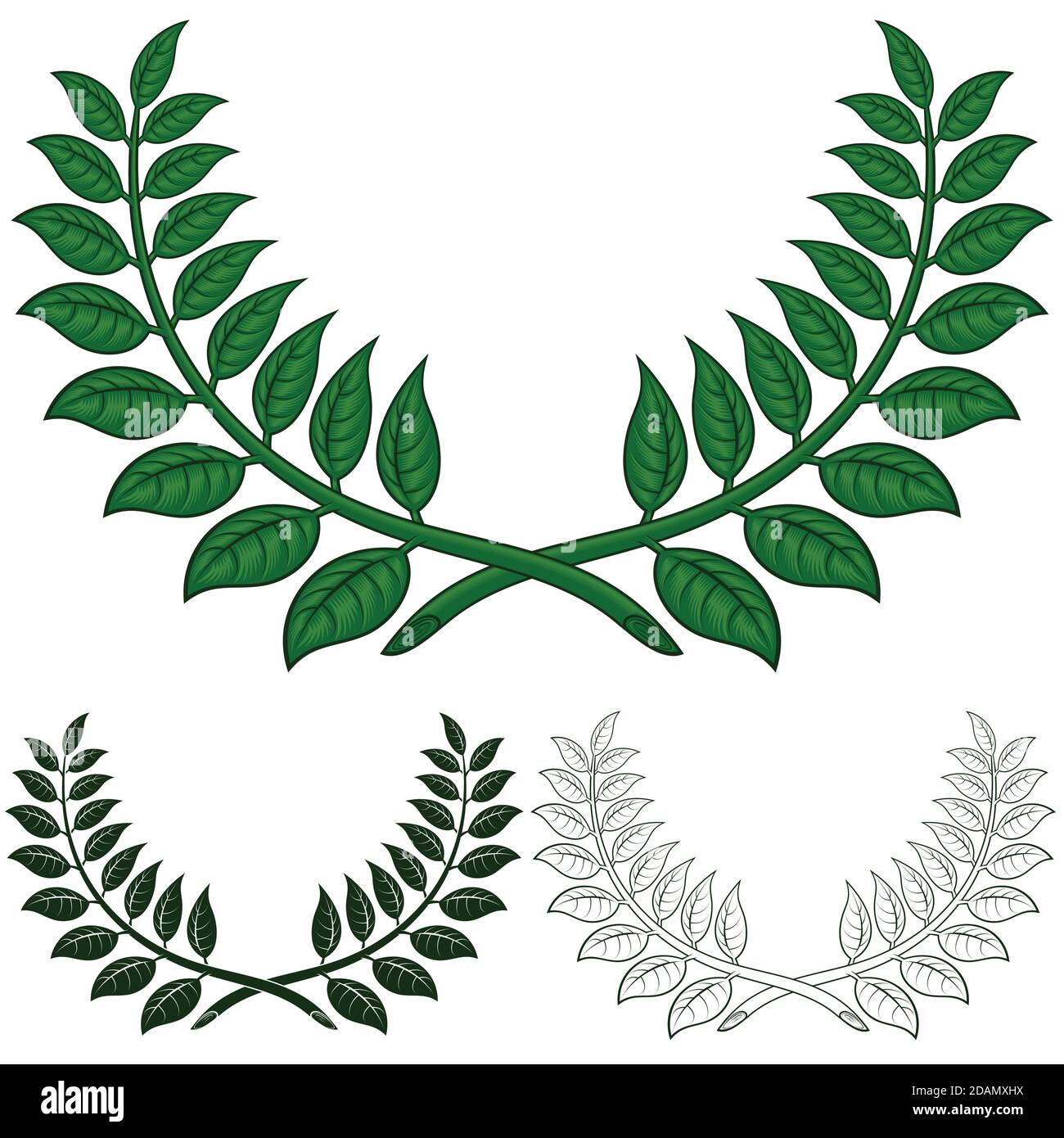 Laurel wreath disegno vettoriale, due rami di alloro che fanno un semicerchio in tre stili diversi. Tutto su sfondo bianco. Illustrazione Vettoriale