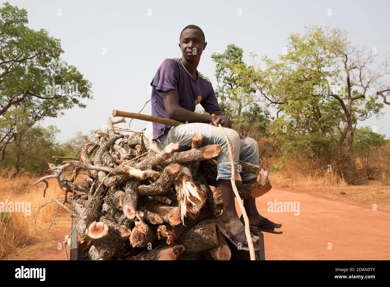Selingue, Mali, 28 aprile 2015; Moussa Kane, 18 con legno ha tagliato il suo carrello di asino. Ha iniziato a tagliare il legno sei anni fa. Venderà questo t Foto Stock
