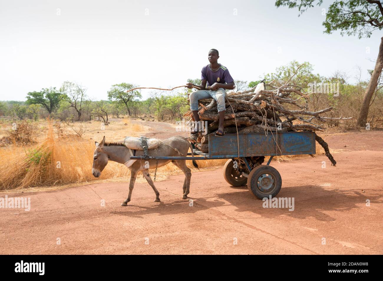 Selingue, Mali, 28 aprile 2015; Moussa Kane, 18 con legno ha tagliato il suo carrello di asino. Ha iniziato a tagliare il legno sei anni fa. Venderà questo t Foto Stock