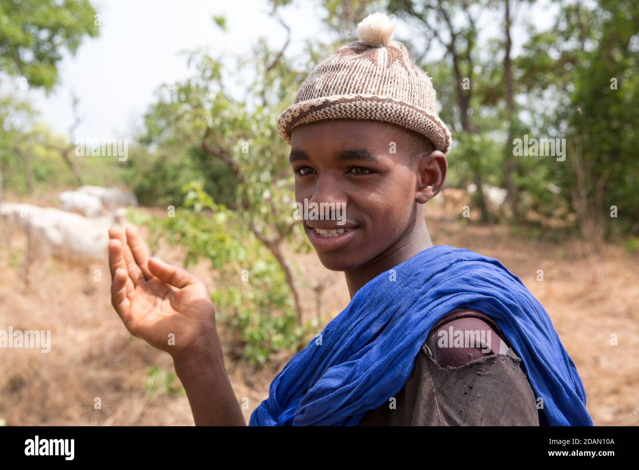 Selingue, Mali, 28 aprile 2015; Boya Diallo, 18 Pastore Fulani (con cappello) con Abdou Diarra, 17. Entrambi sono venuti da Fana a Faraba, una distanza di Foto Stock