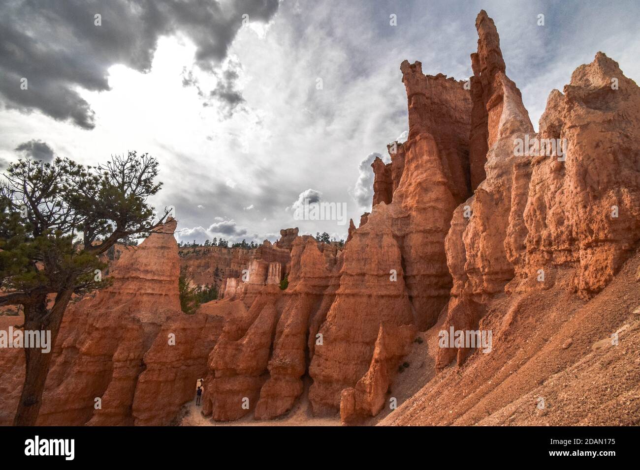 Queen's Garden Trail, Bryce Canyon National Park Foto Stock