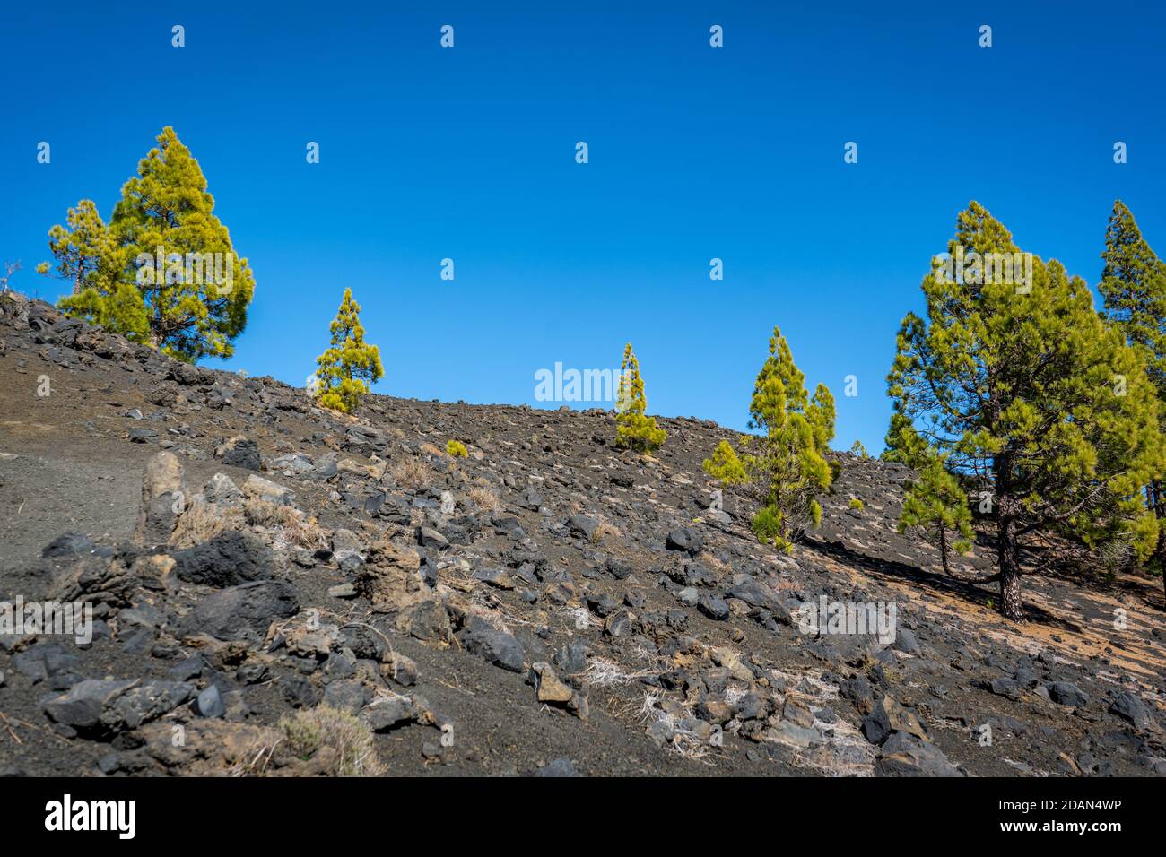 Paesaggio vulcanico a Palma Foto Stock