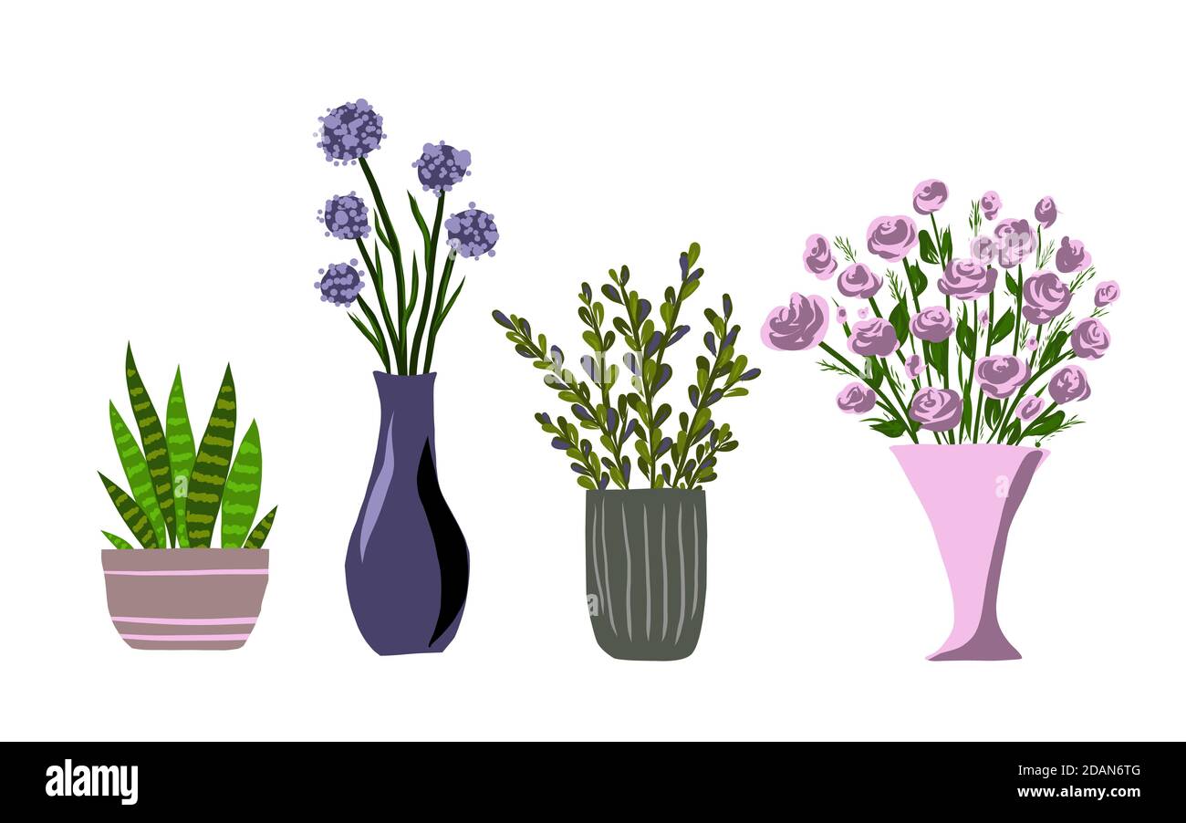 Piante da giardino interne e fiori freschi isolati su sfondo bianco. Casa crescente vasato piante domestiche insieme per serra progettazione. Geranio e Idrangea, Coleo e Cactus, illustrazione vettoriale Illustrazione Vettoriale