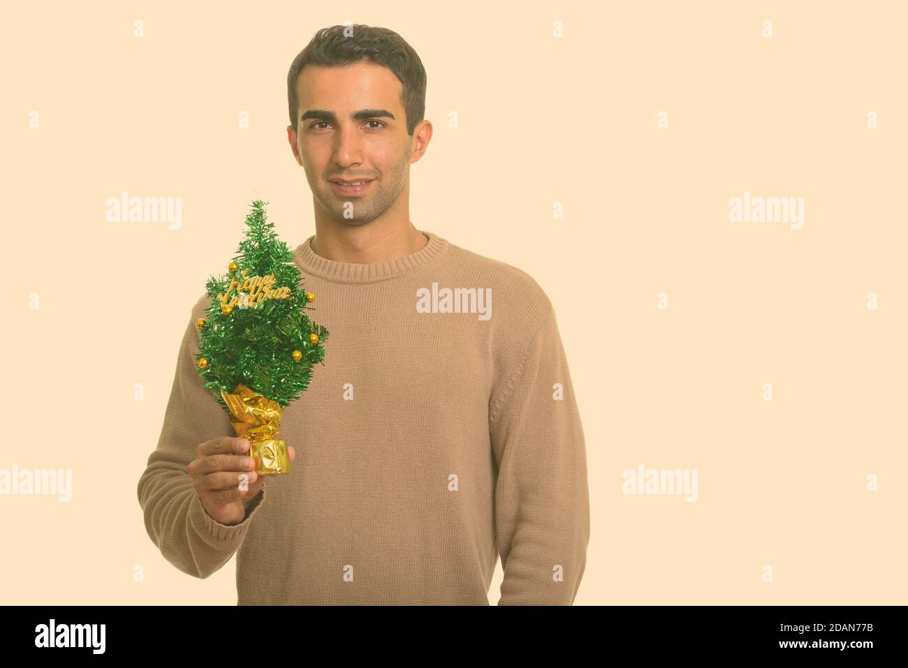 Giovane uomo iraniano felice che tiene l'albero di Natale allegro pronto per Natale Foto Stock