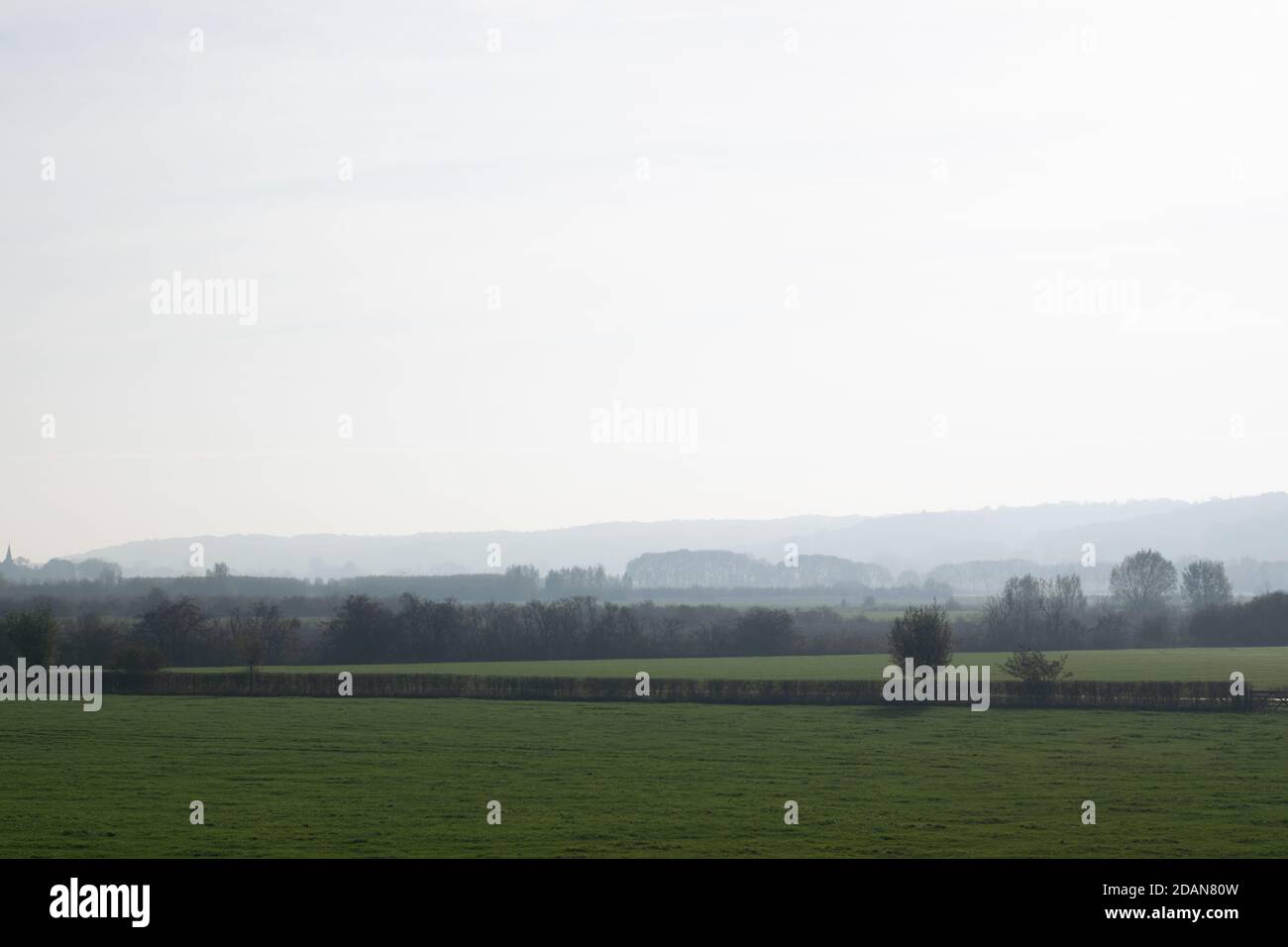 Misty paesaggio olandese polder nei Paesi Bassi, in Europa Foto Stock