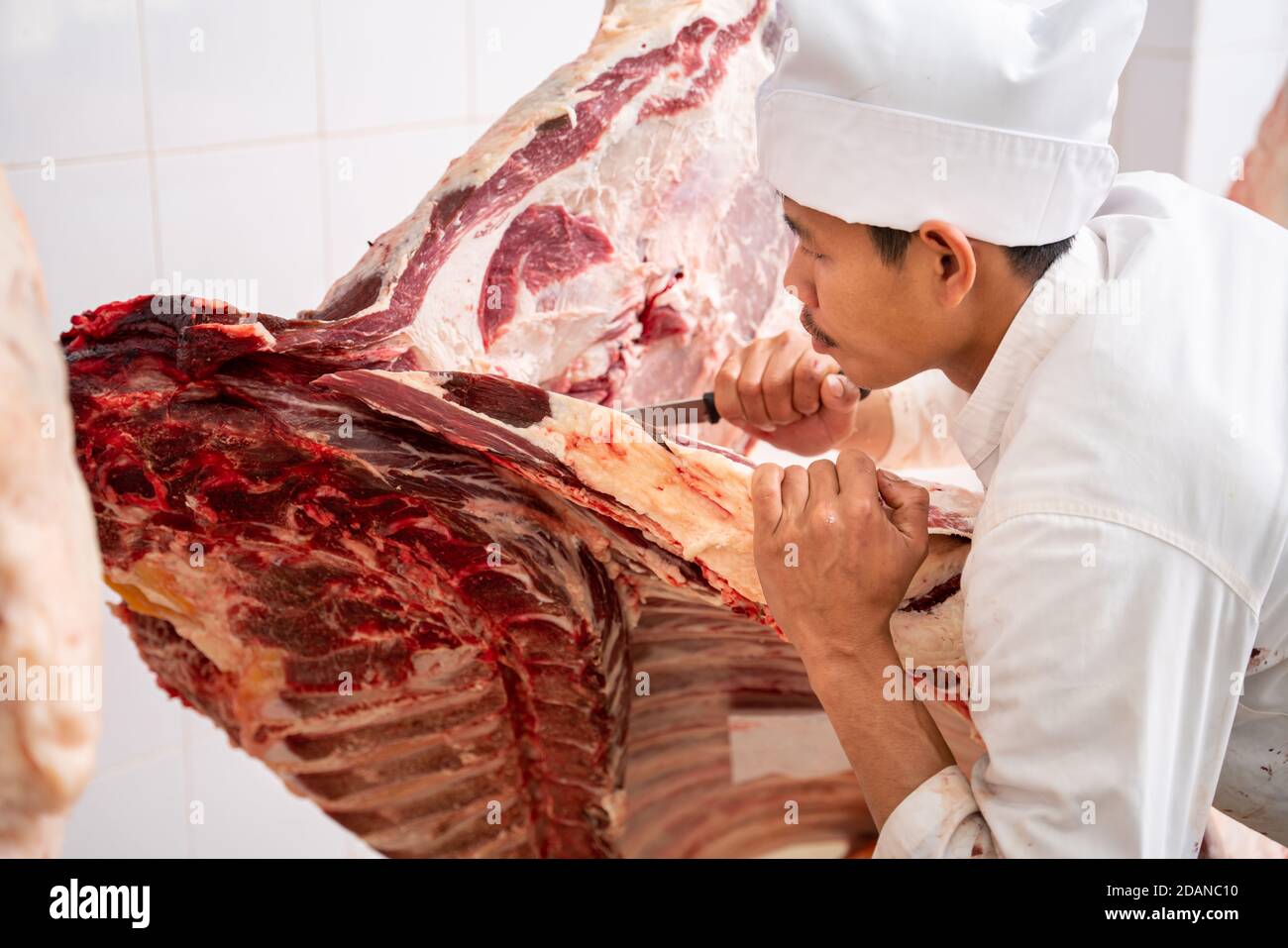 L'industria della carne, macellaio ha tagliato le carni grezze appese nel deposito freddo. Stattelle tagliate e impiccate al gancio nel macello, manzo Wagyu Foto Stock