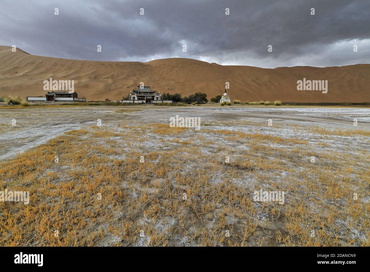 Sumu Jaran si è lacerato tra megadunes-tempio buddista-deserto di Badain Jaran. Mongolia interna-Cina-1106 Foto Stock