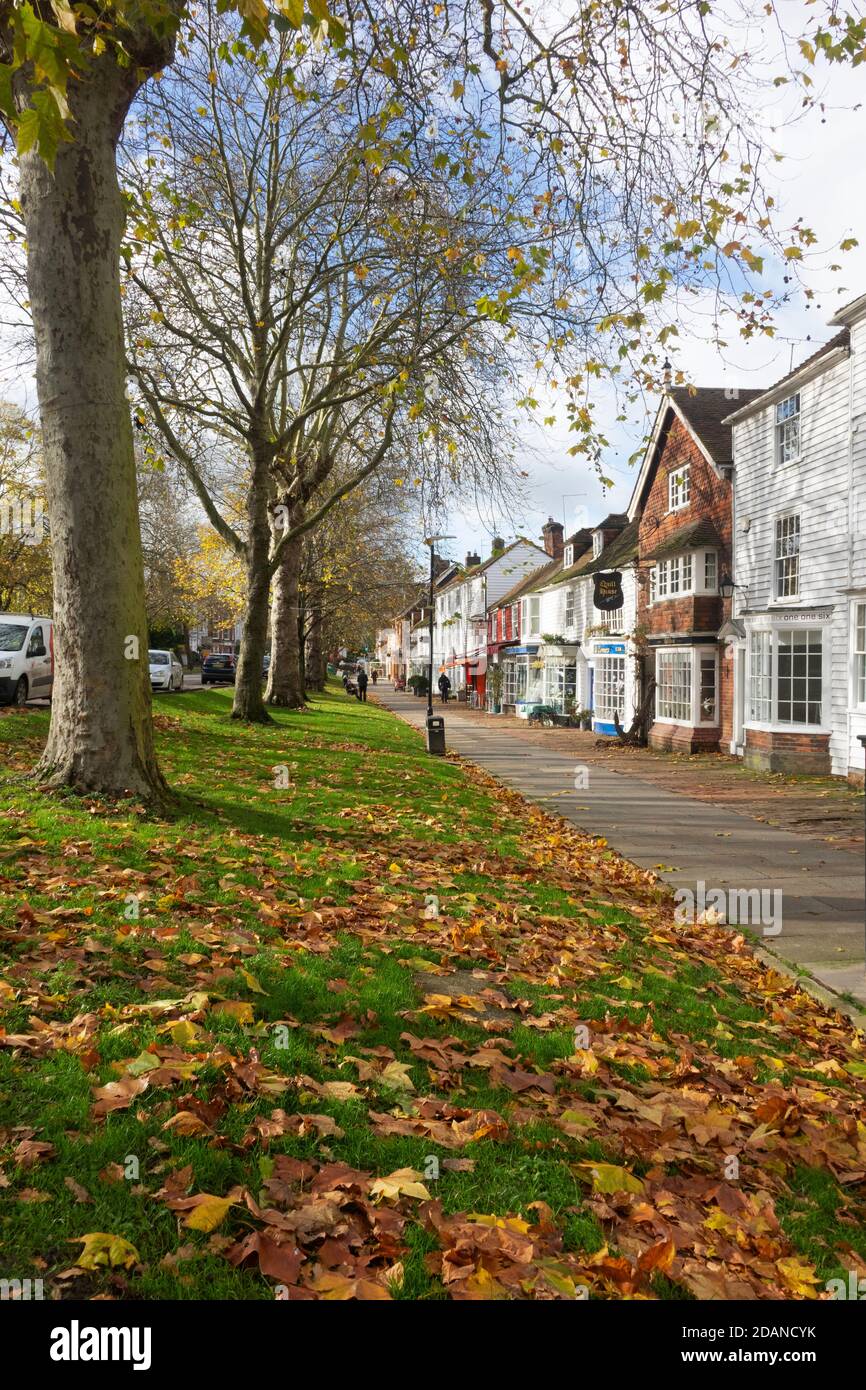 Foglie autunnali sull'ampio marciapiede di Tenterden High Street, Kent, Regno Unito Foto Stock