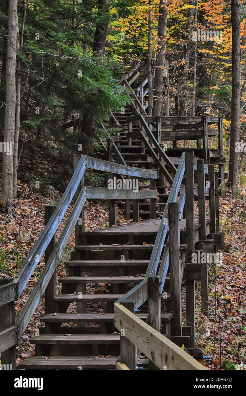 Scala di legno in un parco vicino a Cleveland Ohio Foto Stock