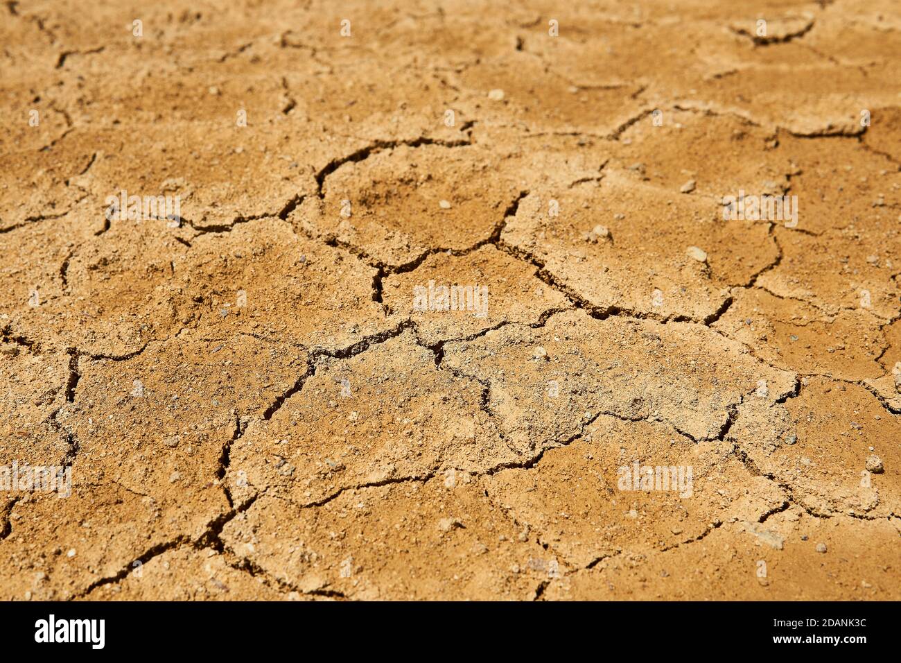 paesaggio - terreno di argilla asciutto con crepe di fango Foto Stock