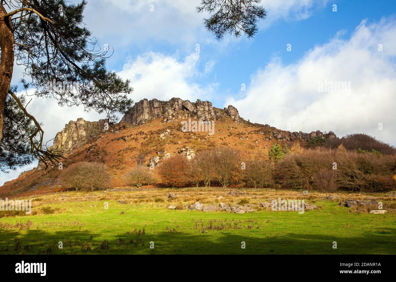 Hen Cloud parte della gamma Roaches di rocce in Le brughiere dello Staffordshire vicino a Leek Foto Stock